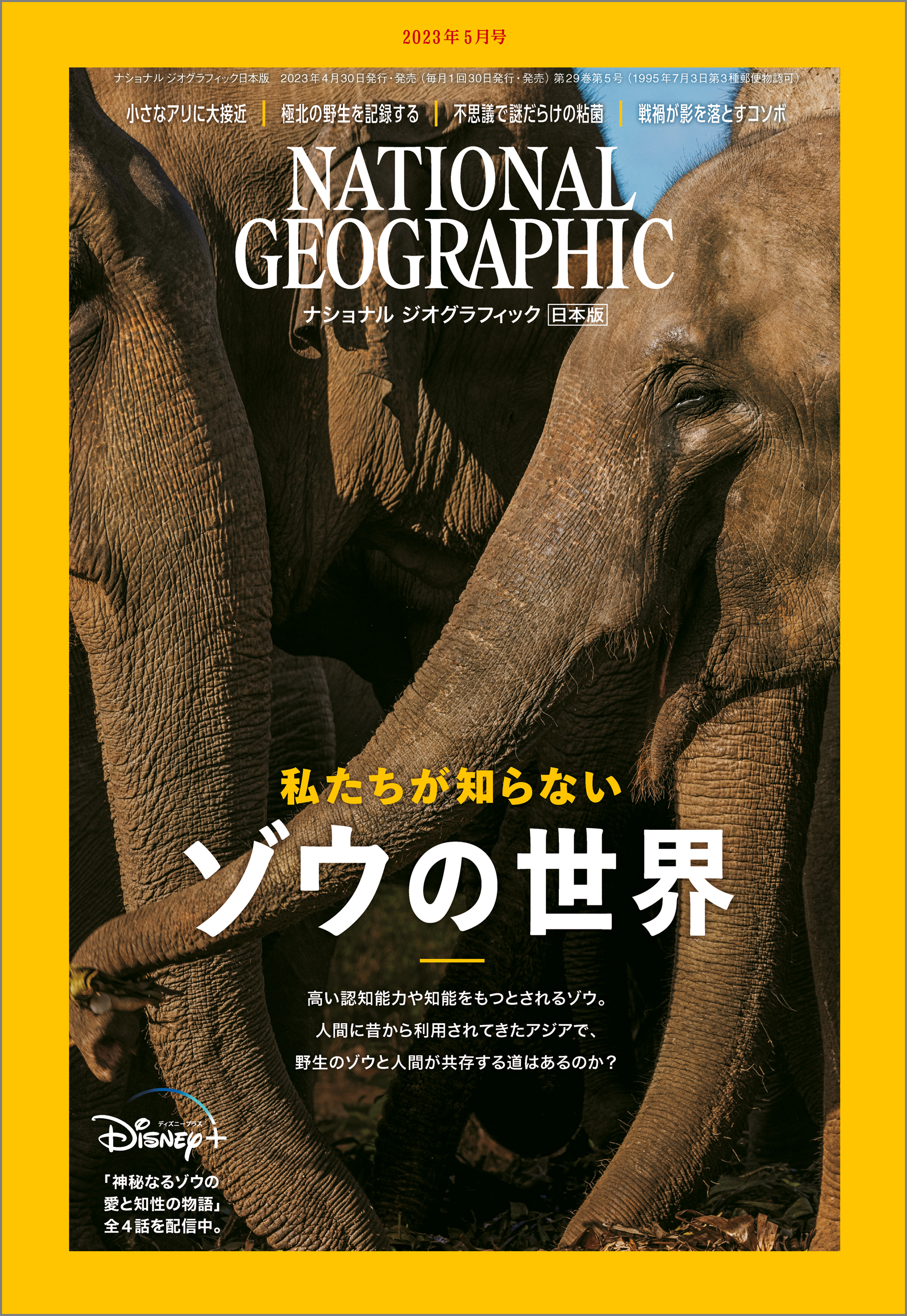 ナショナルジオグラフィック日本版　2023年8月号