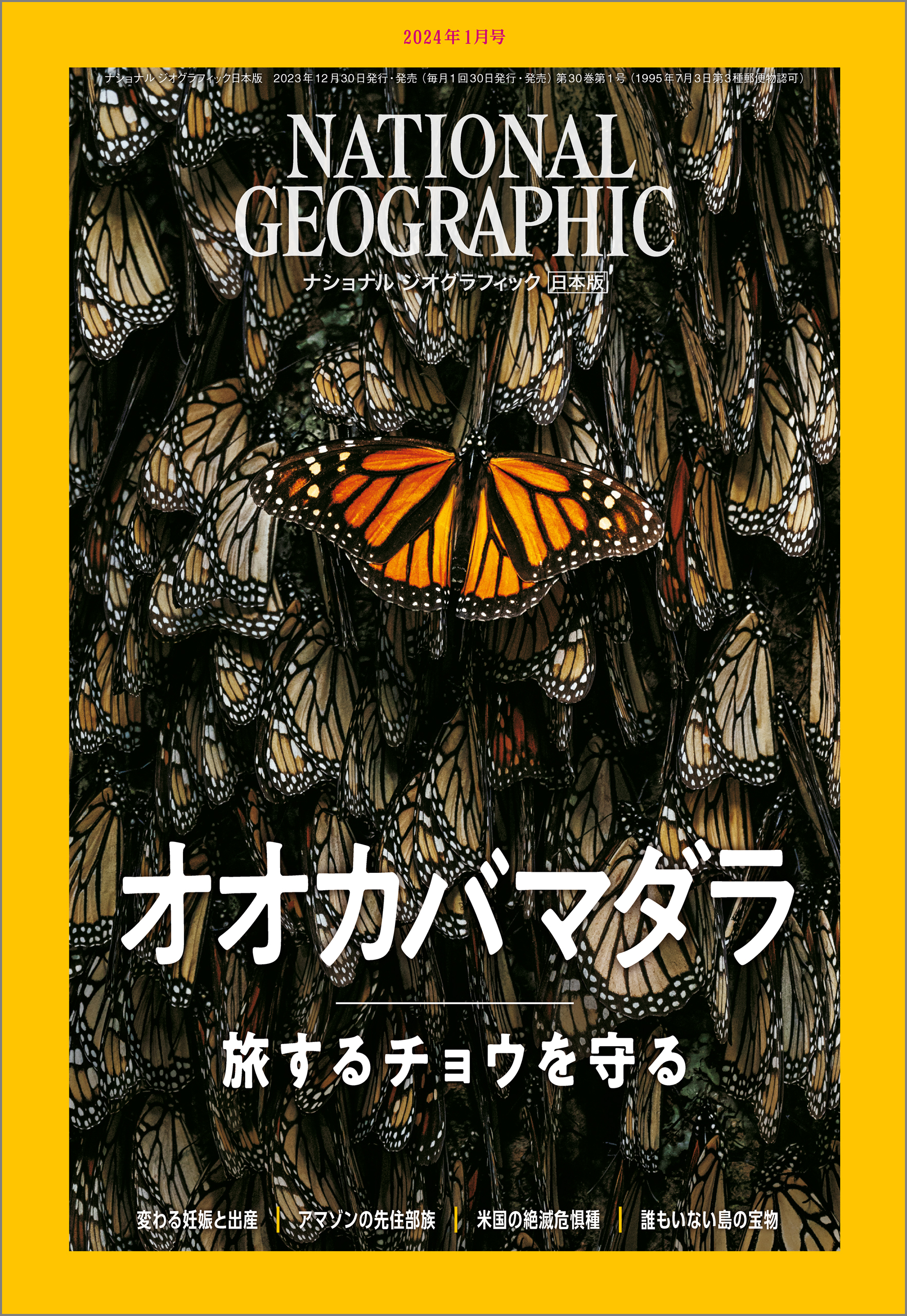 NATIONAL GEOGRAPHIC 2020年全巻 3月付録無し - ニュース