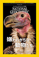 ナショナル ジオグラフィック 日本版 2025年7月号