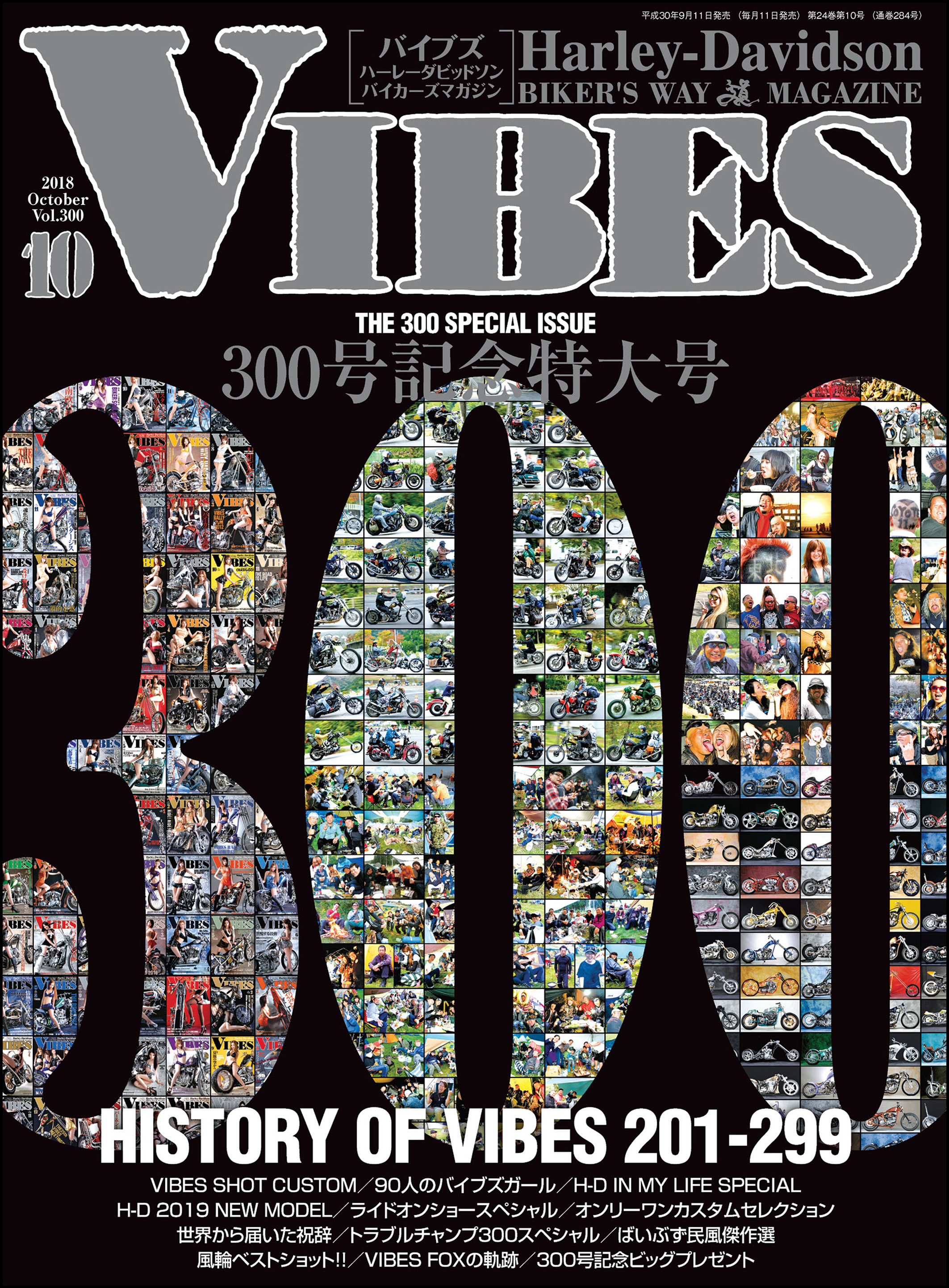 ハーレーライフマガジン VIBES 20周年記念特大号 2011年12月版