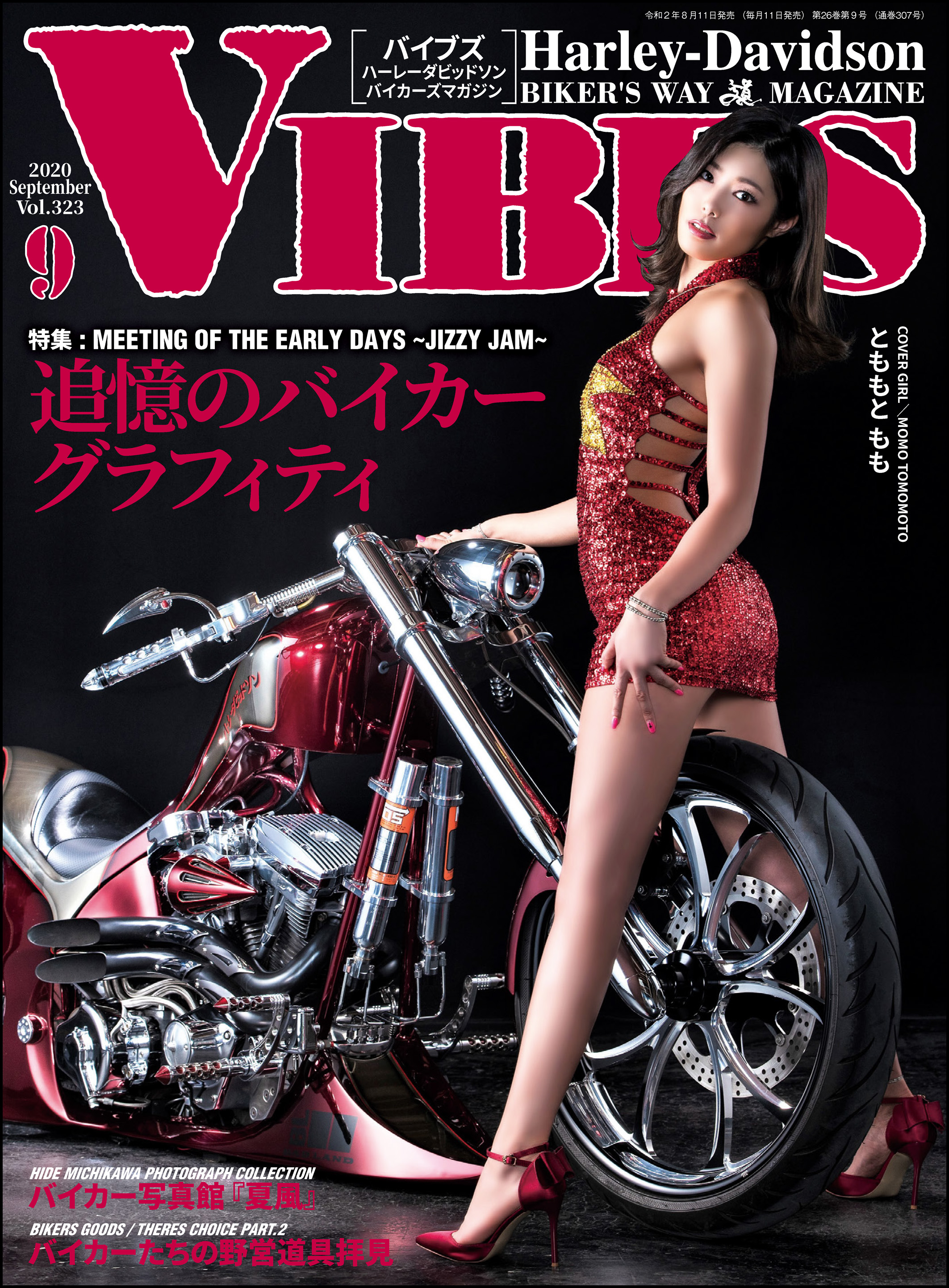 雑誌バイブズVIBES 最新号 - アクセサリー