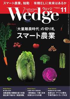 WEDGE（ウェッジ） 2017年11月号