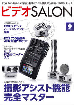 ビデオ SALON (サロン) 2013年 09月号