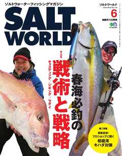 SALT WORLD　2015年6月号 Vol.112