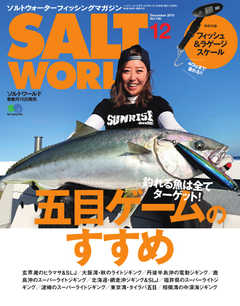 SALT WORLD（ソルトワールド） 2019年12月号