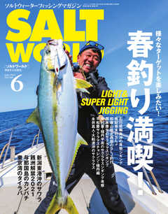 SALT WORLD（ソルトワールド） 2021年6月号