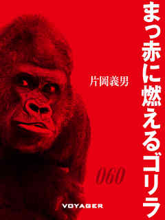 まっ赤に燃えるゴリラ