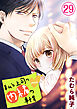 私と上司の内緒の事情 29巻【限定描き下ろしイラスト付き】
