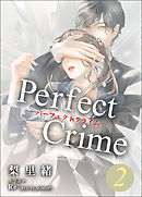 Perfect Crime　2
