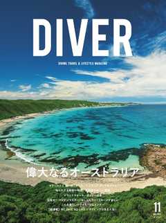DIVER No.425