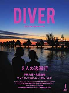 DIVER No.427