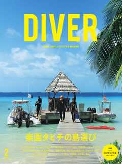 DIVER No.428