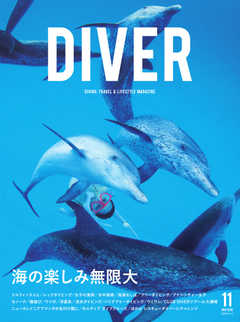DIVER No.449