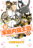 新・家庭内猫王国 2巻