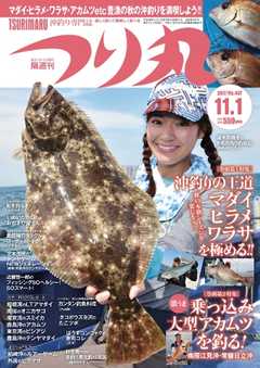つり丸 2017年11/1号