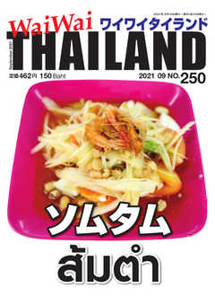 ワイワイタイランド 250