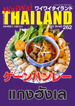 ワイワイタイランド 262