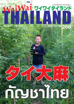 ワイワイタイランド 266