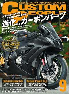 カスタムピープル　No.195