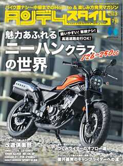 タンデムスタイル　No.250