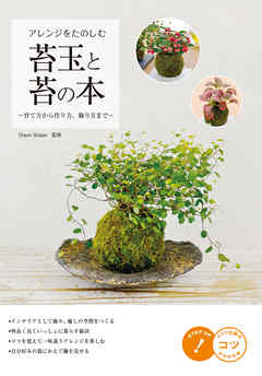 ¥¢¥ì¥ó¥¸¤ò¤¿¤Î¤·¤à¡¡Âݶ̤ÈÂݤÎËÜ?°é¤ÆÊý¤«¤éºî¤êÊý¡¢¾þ¤êÊý¤Þ¤Ç?