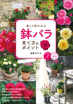 �������餫���롡ȭ�Х顡������Υݥ����