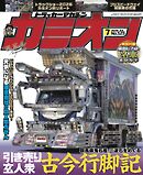 カミオン No.523