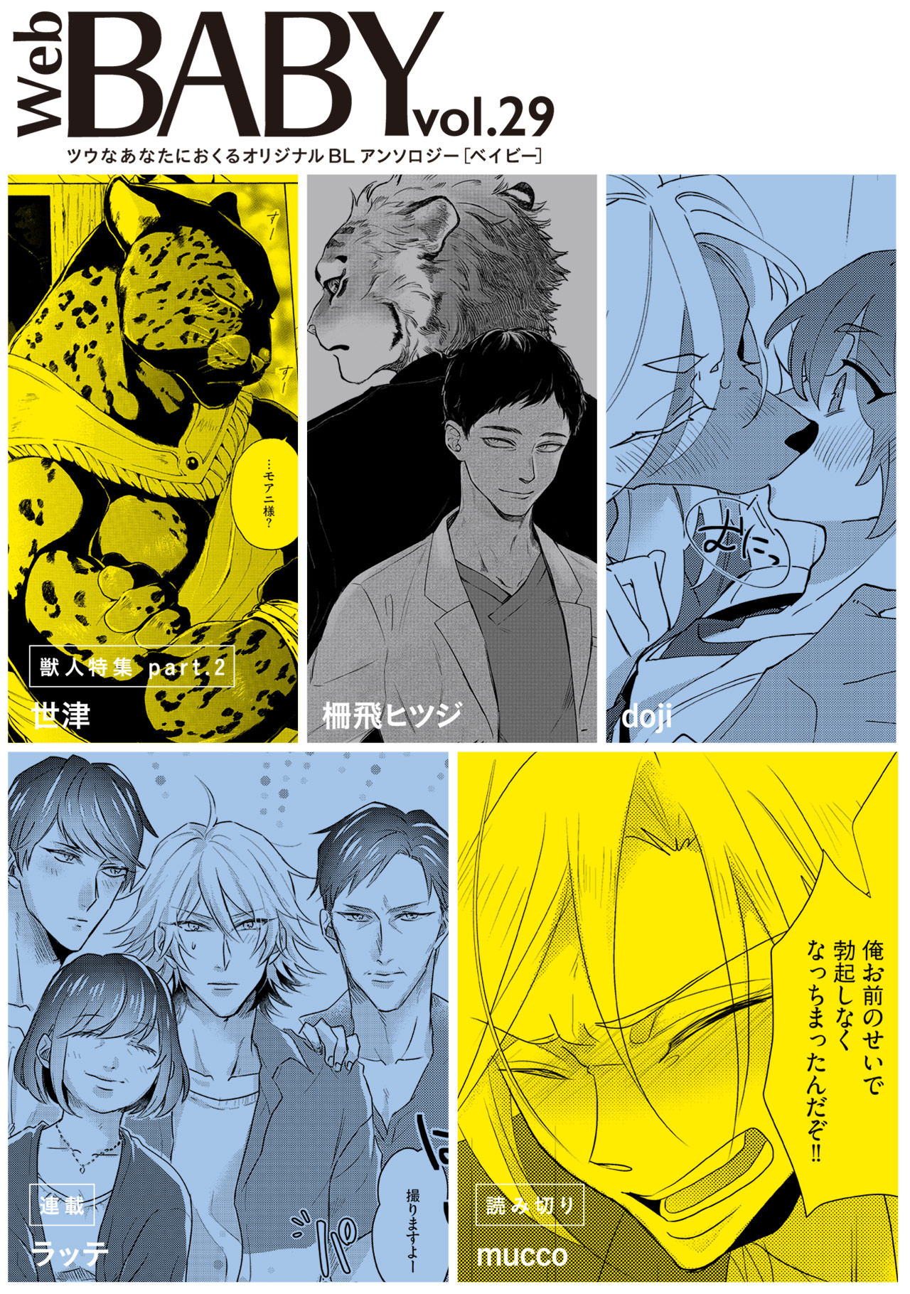 BL漫画29冊セットC