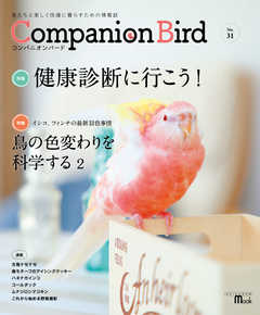コンパニオンバード NO.31