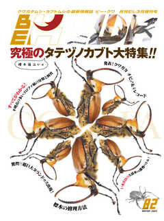 BE-KUWA（ビークワ） 82