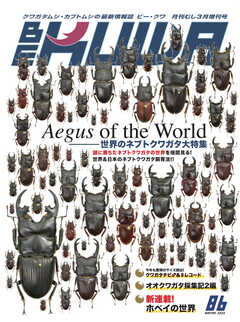 BE-KUWA（ビークワ） 86