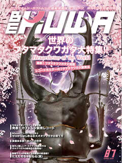 BE-KUWA（ビークワ） 87