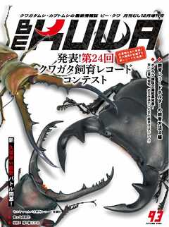 BE-KUWA（ビークワ） 93