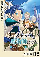 飯屋のせがれ、魔術師になる。【分冊版】１２
