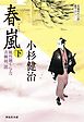 春嵐（下）　風烈廻り与力・青柳剣一郎［19］ 風烈廻り与力・青柳剣一郎
