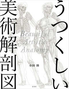 うつくしい美術解剖図 漫画 無料試し読みなら 電子書籍ストア ブックライブ