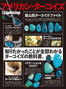 別冊Lightning Vol.199 アメリカン・ターコイズ