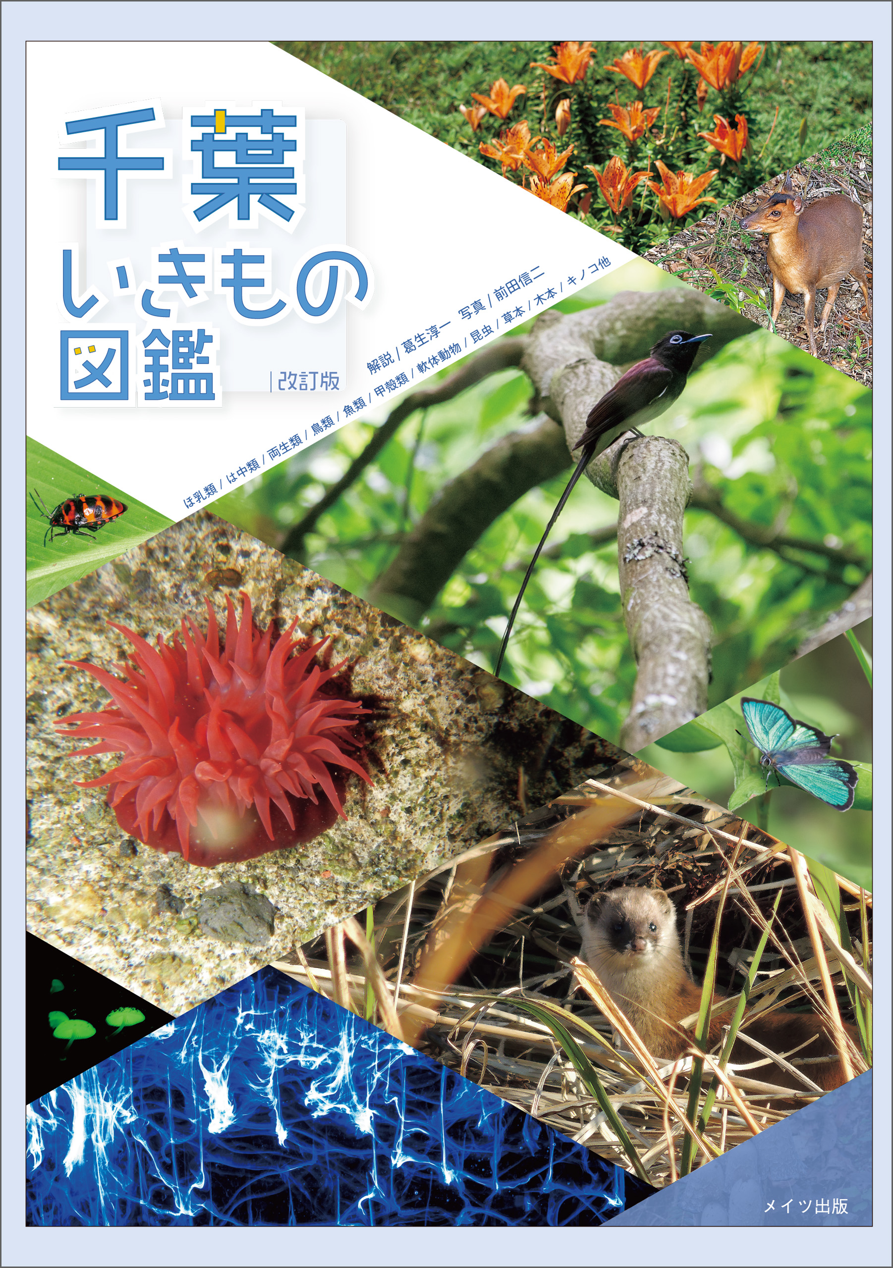 千葉いきもの図鑑 改訂版 - 前田信二/葛生淳一 - 写真集・無料試し読みなら、電子書籍・コミックストア ブックライブ