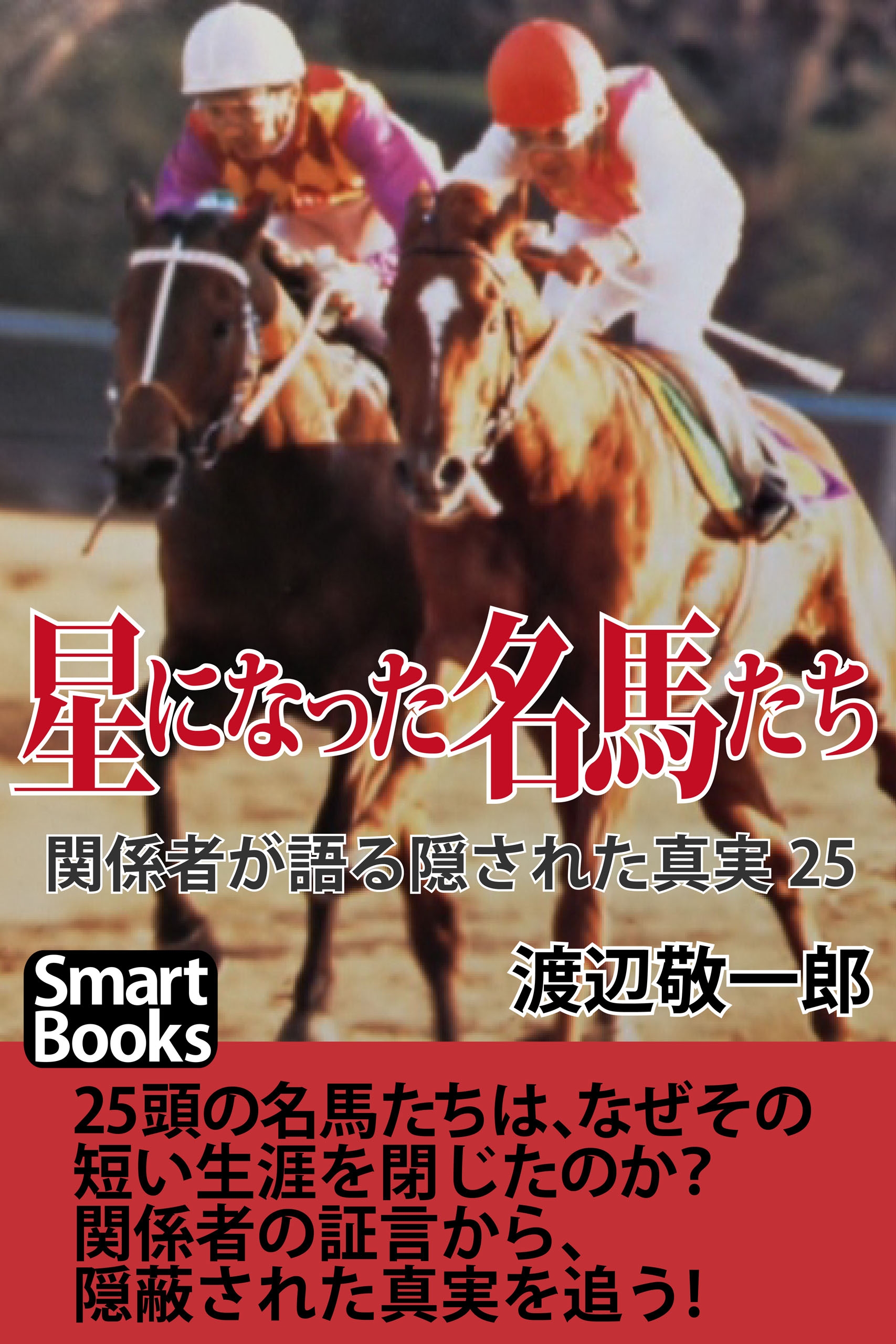 ▪️ マヤノトップガン 天皇賞 JRA 競馬ポスター B2 非売品 希少 競馬 