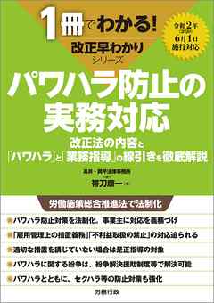 1冊でわかる！改正早わかりシリーズ　パワハラ防止の実務対応