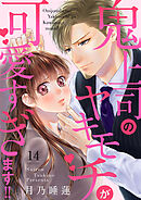 鬼上司のヤキモチが可愛すぎます!! 14巻