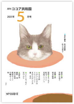 月刊 ココア共和国 2025年5月号