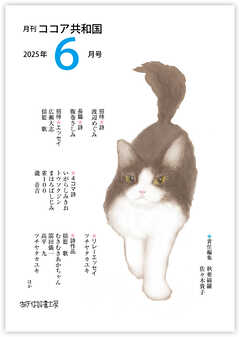 月刊 ココア共和国 2025年6月号