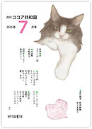 月刊 ココア共和国 2025年7月号