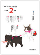 月刊 ココア共和国 2026年2月号