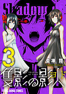 隻影の影人　3巻