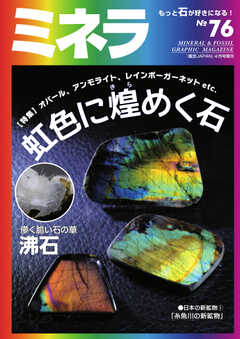 ミネラ（MINERA） No.76