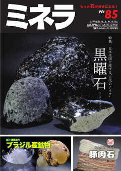 ミネラ（MINERA） No.85