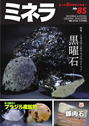 ミネラ（MINERA） No.85