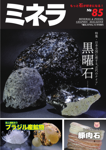 公式 鉱石宝石雑誌「ミネラ」No.71ー77、No.79−81 計10冊セット 趣味